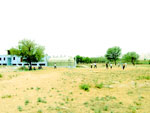 Baba Gangadas Vidhyapeeth